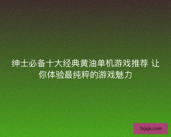 绅士必备十大经典黄油单机游戏推荐 让你体验最纯粹的游戏魅力