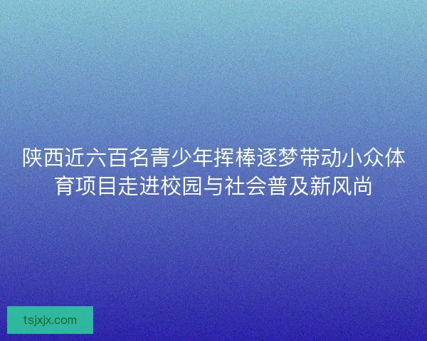 陕西近六百名青少年挥棒逐梦带动小众体育项目走进校园与社会普及新风尚
