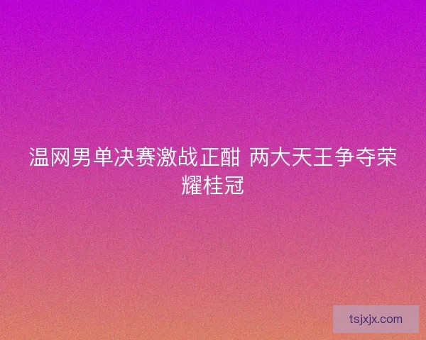 温网男单决赛激战正酣 两大天王争夺荣耀桂冠 温网男单决赛激战正酣 两大天王争夺荣耀桂冠