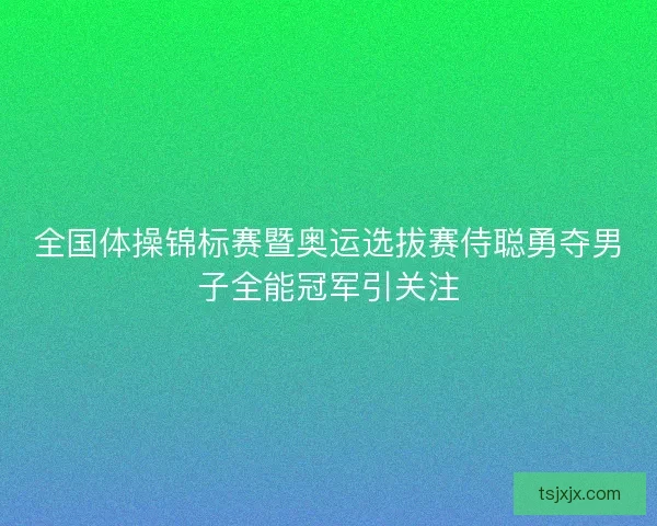 全国体操锦标赛暨奥运选拔赛侍聪勇夺男子全能冠军引关注
