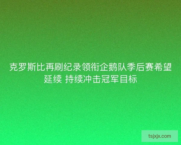 克罗斯比再刷纪录领衔企鹅队季后赛希望延续 持续冲击冠军目标 克罗斯比再刷纪录领衔企鹅队季后赛希望延续 持续冲击冠军目标