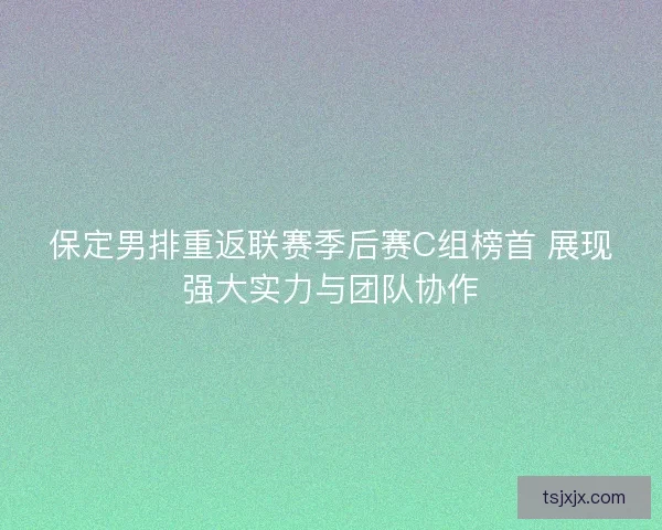 保定男排重返联赛季后赛C组榜首 展现强大实力与团队协作